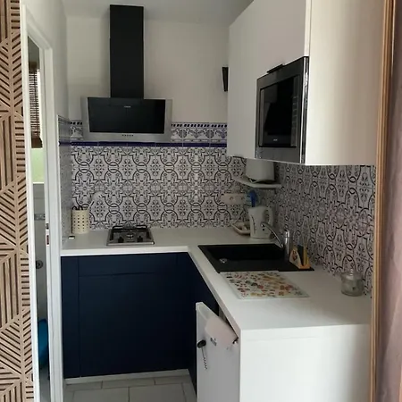 Sur Le Bassin D'arcachon De 28m2 * 居让梅斯特拉