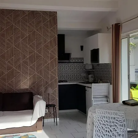 Sur Le Bassin D'arcachon De 28m2 公寓 居让梅斯特拉